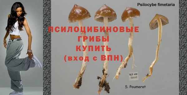 кокаин Новодвинск