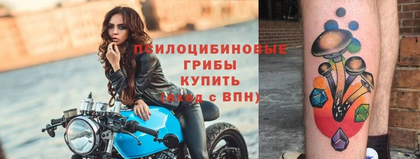 соль ск Новокубанск