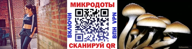 omg сайт  Тавда  Галлюциногенные грибы Psilocybe  где найти  